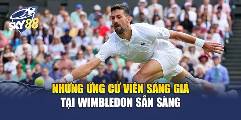 Wimbledon Sẵn Sàng 2 Những ứng cử viên sáng giá tại Wimbledon Sẵn Sàng